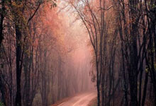 天涯社区亚洲论坛：亚洲文化交流的温暖大家庭！