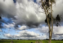 天涯社区下载的文件在手机哪里？跟我一步步学学这个，很多人用手机看天涯社区论坛，下载文件却不知道放哪儿了。别慌，我来手把手教你。