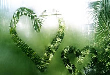 天涯社区亚洲论坛：亚洲文化交流的温暖大家庭！